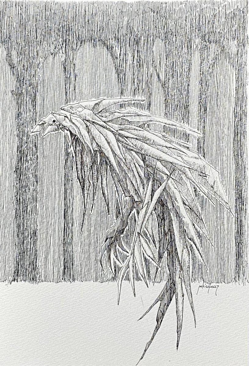 #私はこういう絵描きです見た絵描き全員参加
ボールペンで空想画を描く素人です。 