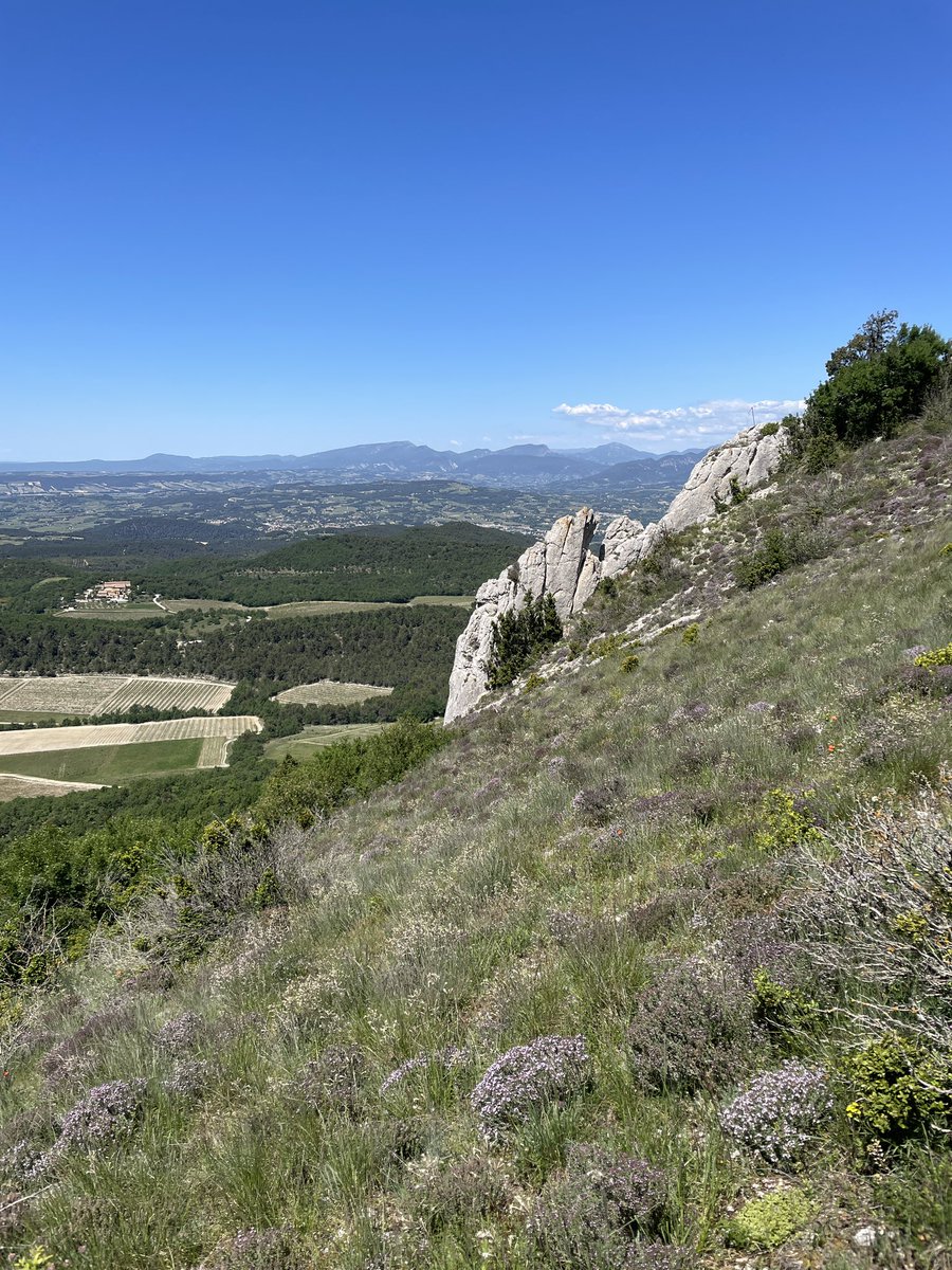 Beauté panoramique du Gigondas 🤩💙💚🥾