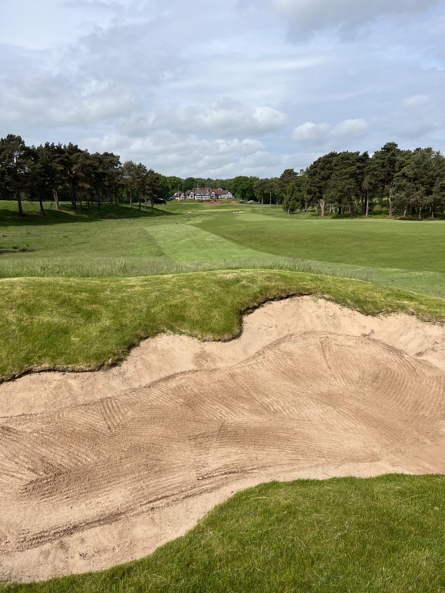 Andrew Williamson tweet media