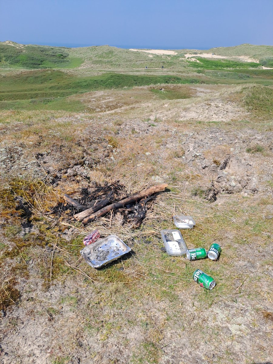 Boswachter_Tim's tweet photo. Sporen van eencelligen in de #Helderseduinen @landschapnh Gelukkig geen ernstige gevolgen door kampvuurtje en barbecue, maar hoe haal je het in botte hersens. https://t.co/6GS4dtpheI