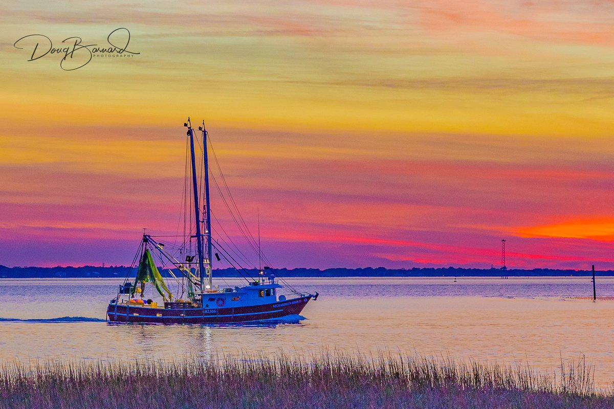 Shrimping in Charleston, SC
#BestofSouthCarolina #OnlyInSouthCarolina #DiscoverSC #charleston #lowcountry #southcarolina #holycity #potd  #explorecharleston #charlestonsc  #PalmettoState #carolina #CanonUSA #shrimping #sunset #TravelPhoto #shrimpboat #boats