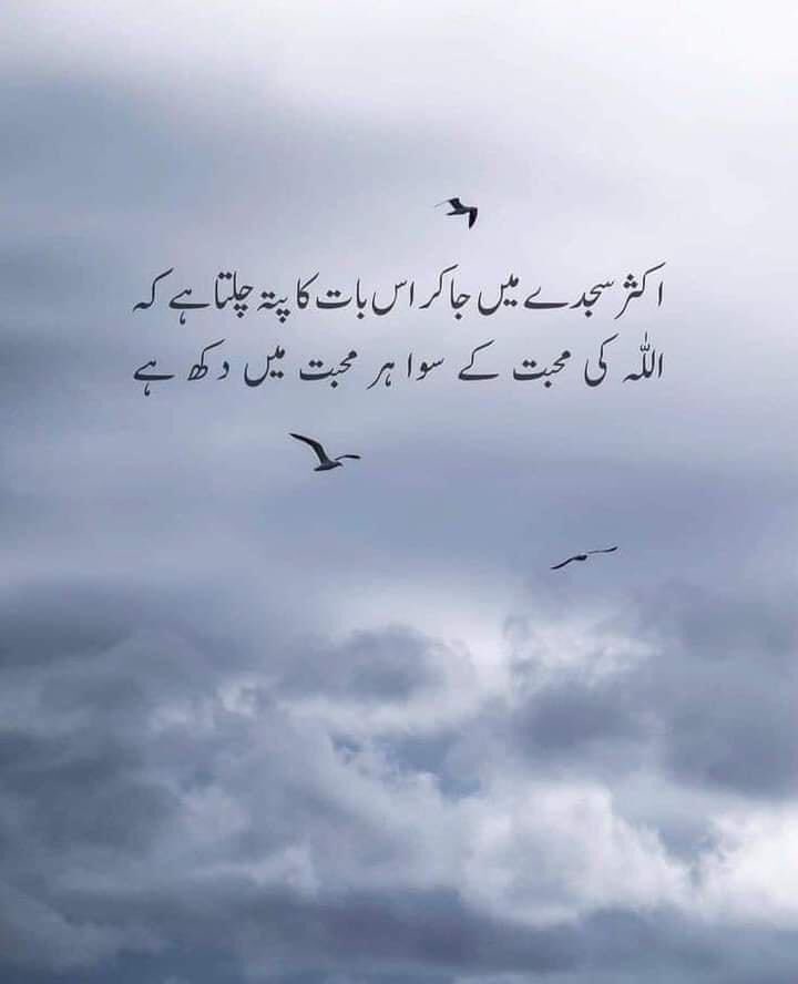 Helo X family💞🤗

Kesa guzra din💕🌚

Good night🌛😴