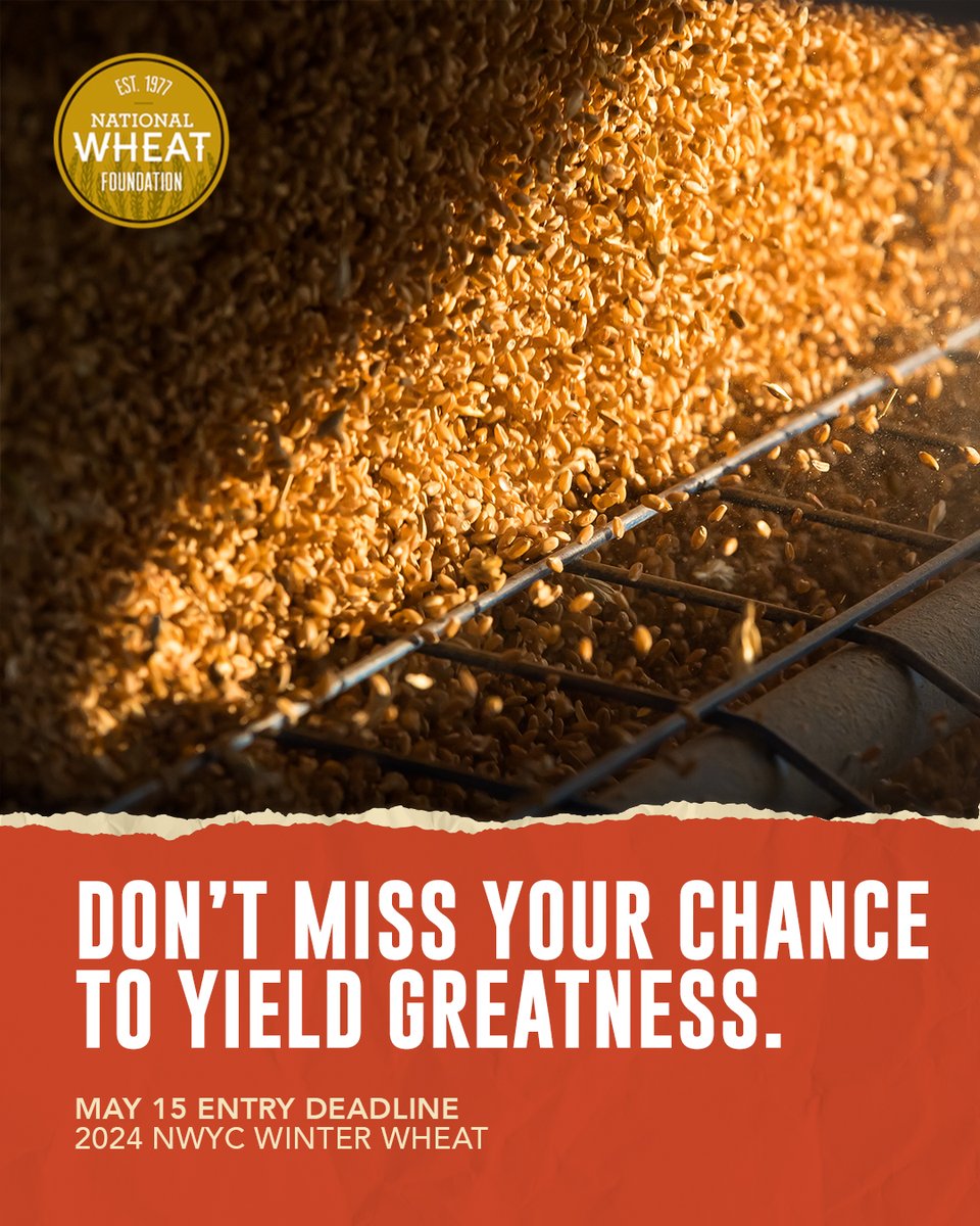 May 1️⃣5️⃣ is the <a href="/NationalWheat/">National Wheat Foundation</a> Yield Contest Winter Wheat entry deadline. Seize your chance to become a champion. Click the link to register. 👉 spr.ly/6015jtXAx

#SeizeTheSeason #NWYC <a href="/wheatworld/">NAWG</a> <a href="/NationalWheat/">National Wheat Foundation</a>