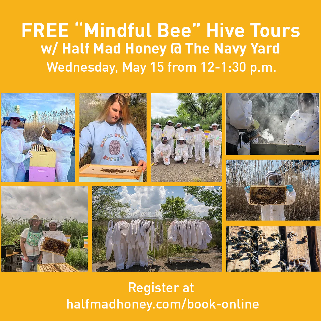 During this free and open-to-the-public Mindful Hive Tour w/ Half Mad Honey, you will get the chance to learn about the intricate lives of honey bees, and unwind with the rhythmic hums of the hive. Register at halfmadhoney.com/book-online. 
#discovertheyard #navyyardevents