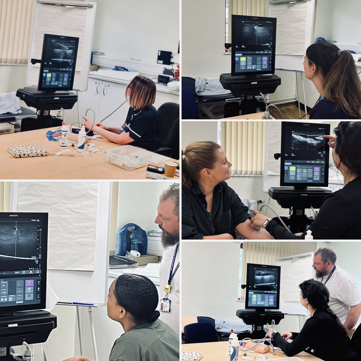 RohOutreach's tweet photo. Todays ultrasound guided cannulation training provided by @hestraining https://t.co/YDyPwVdj4i