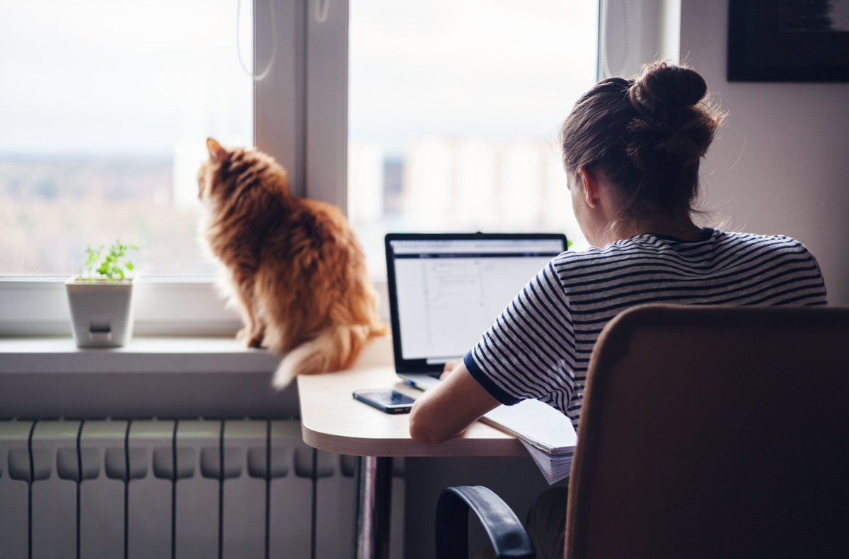 Want to work remotely? Be mindful of the state you live in

buff.ly/3U91JFv

#tech #remoteworkers #remotetech #homeoffice