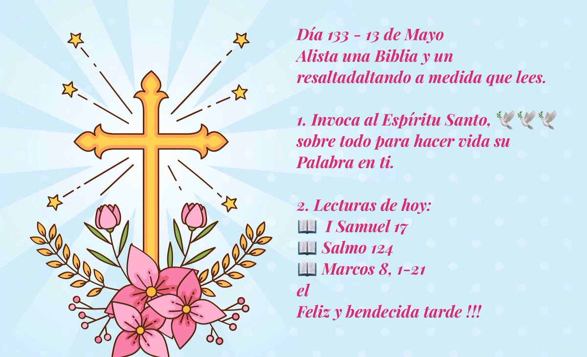 #Reto #LecturaDeLaBiblia  #PalabraDeDios #Día133 #Católicos #Marianos #Carismáticos