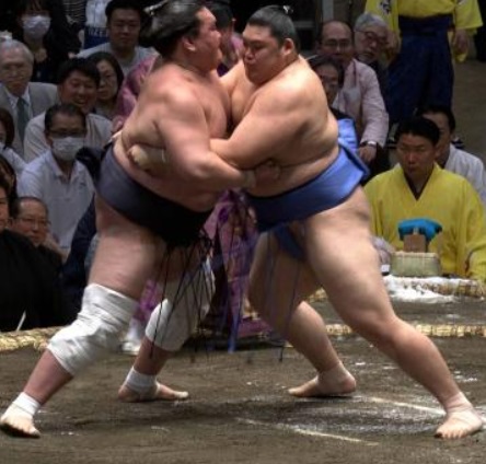 silentconv23245's tweet photo. Un luchador de #sumo suele pesar unos 170 kilos. #ŌroraSatoshi el luchador más pesado de la historia del sumo llegó a 288 kilos. ¿Cómo? Saltándose el #desayuno y yendo a #entrenar Para #engordar ingieren comidas #hipercalóricas con mucha #proteínaanimal 🗾
https://t.co/sraa0GxJri https://t.co/uHXqkWOBly