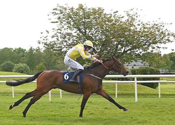 Kalium ridden by Patrick Mullins was an impressive winner of Sundays Pro/Am bumper @KillarneyRaces for @farmerdoyle16 @MonbegStables 📸 healyracing.ie