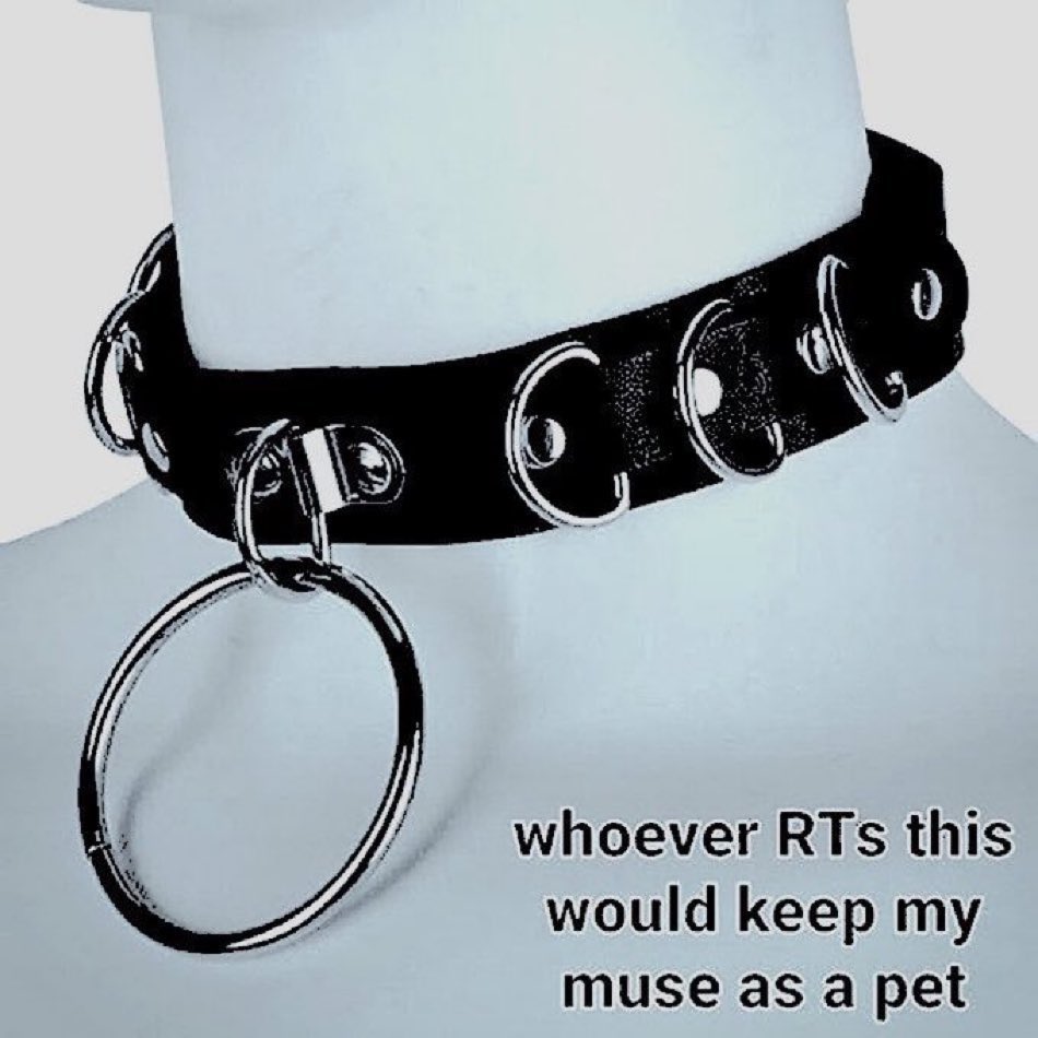 Heather 💙 (@irishfurrywolf1) on Twitter photo 