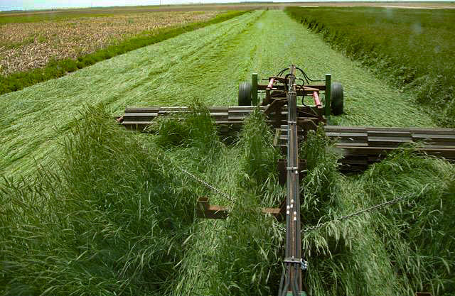 A May 22 @UNLExtension workshop at @NebENREEC will include a #rollercrimper demo, discussion on what conditions must be met for success w/ this termination method & insights from #farmers on their experiences with crimping. » ow.ly/3lu250RCasJ #NebExt #covercrops #ag