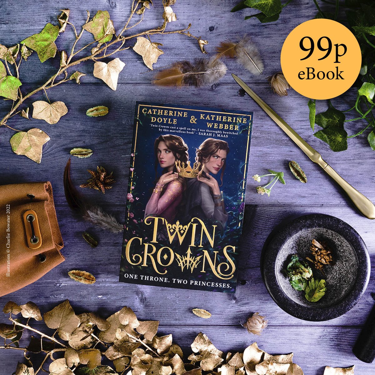 Getting Twin Crowns FOMO? Book one is 99p on Kindle for a limited time ONLY - so you can see for yourself why this trilogy has us all in a chokehold 🤧 Get the Twin Crowns ebook now: ow.ly/KfoU50REkga @kwebberwrites @doyle_cat
