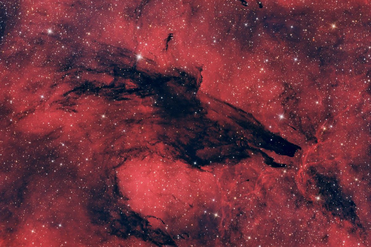 📸 Uzaydaki cisimlerin fotoğrafını çeken @emrozdnim, Güney Amerika'dan fotoğrafladı! 6000 ışık yılı uzaklıktaki bir gök cisim: ' KURT Nebulası '