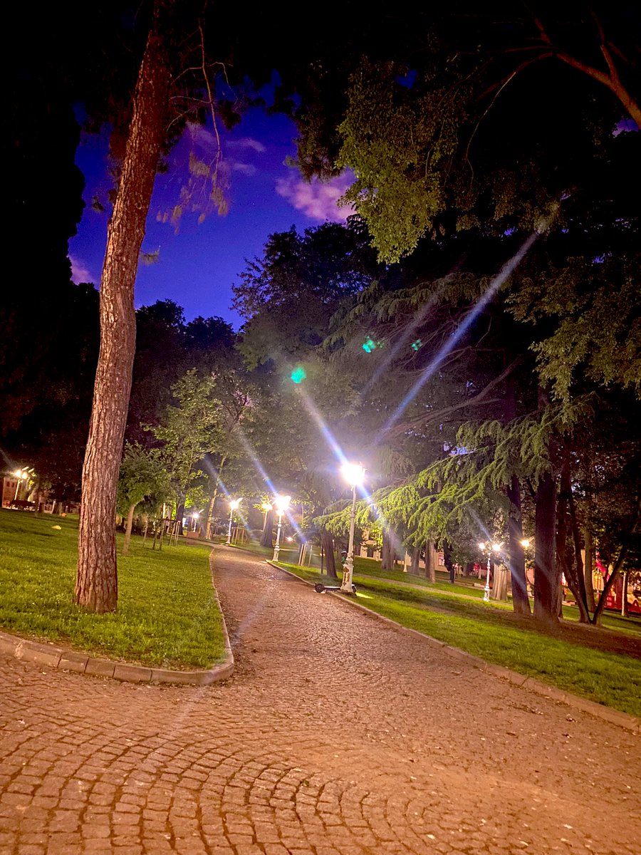 Gülhane gerçekten insana terapi gibi geliyor 🥹
Al eline kitabını saatlerce otur sessiz sakin kendi başına 🫠