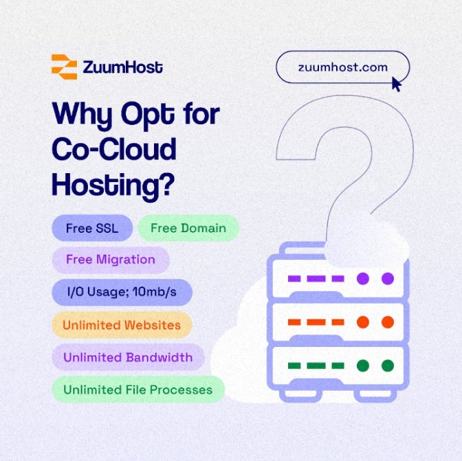 ZuumHost tweet media