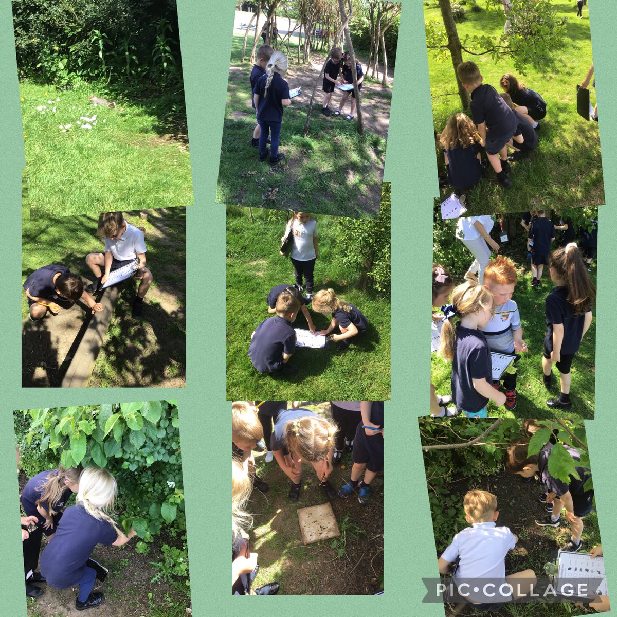 Reception has been busy bug hunting. We have been learning about why insects are important and how living things grow. #stokeselyeyfs #stokesleyscience