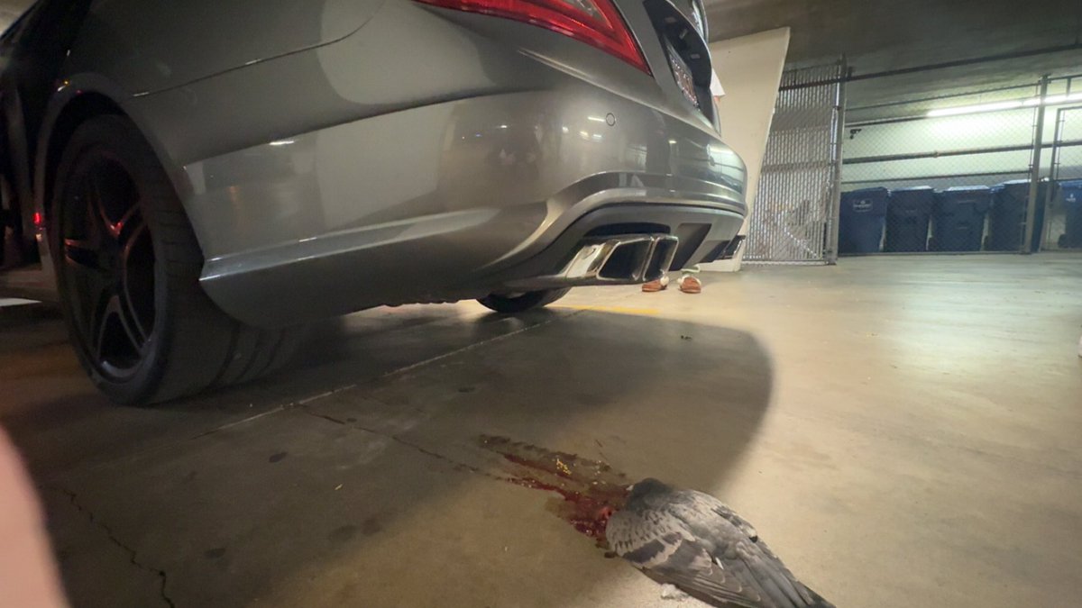 Bro ain’t movin what should I do