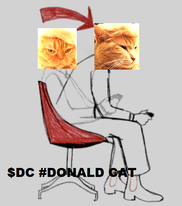 nffftw's tweet photo. @0xBossman $DC the hair stays on! https://t.co/RrjHltpoex