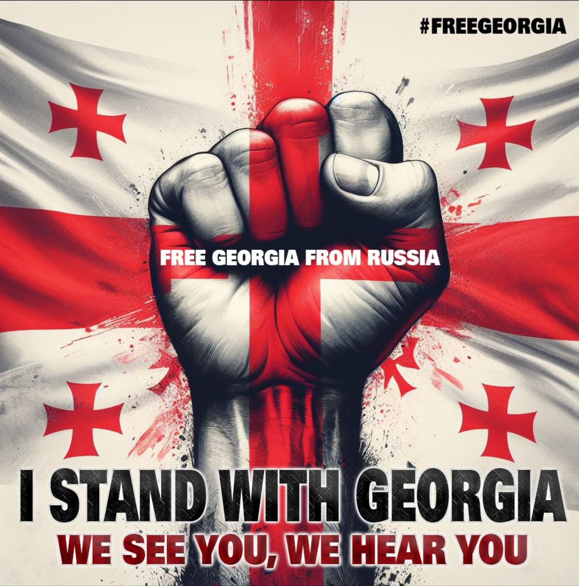 Georgia 🇬🇪 is not negotiable!