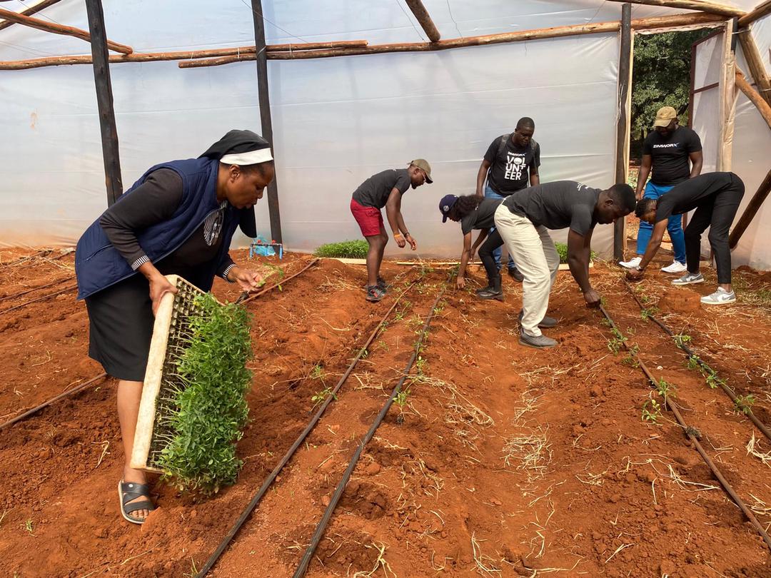 Guided by #the51, we're committed to transforming communities. With the Emerald Hill Community, we've built a greenhouse and irrigation system. Our team members planted 1600 tomato seedlings, ensuring long-term sustenance and economic empowerment. 🍅 #plantinghope #ZimWorX