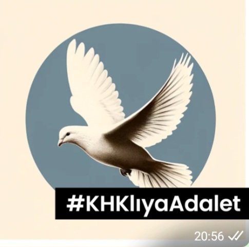 Göklerdeki kuşlar bembeyaz kanatlarıyla sanki #KHK hukuksuzluğunu süpürmeye yelteniyor. Ne ki siyasilerin çaldığı bir kara güvercin kanatlarıyla temizlenmiyor! #KHKlıyaAdalet