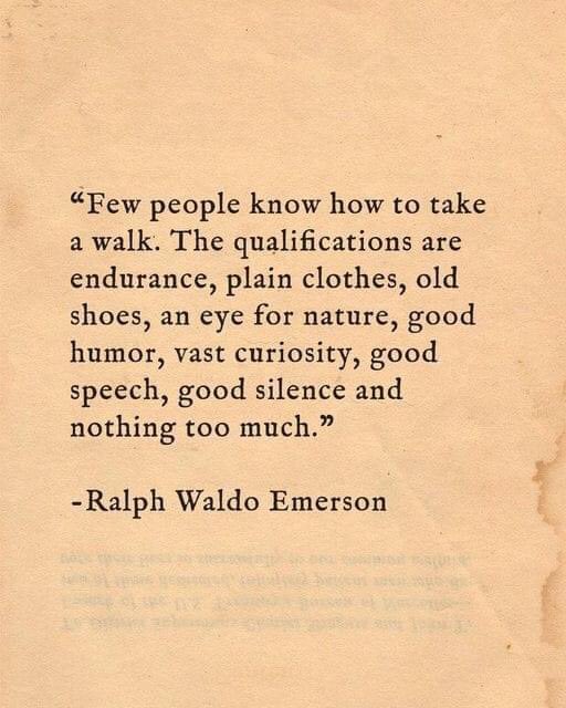 “Few people know how to take a walk. The qualifications are endurance, plain clothes, old shoes, an eye for nature, good humor, vast curiosity, good speech, good silence and nothing too much.”
  ~Ralph Waldo Emerson