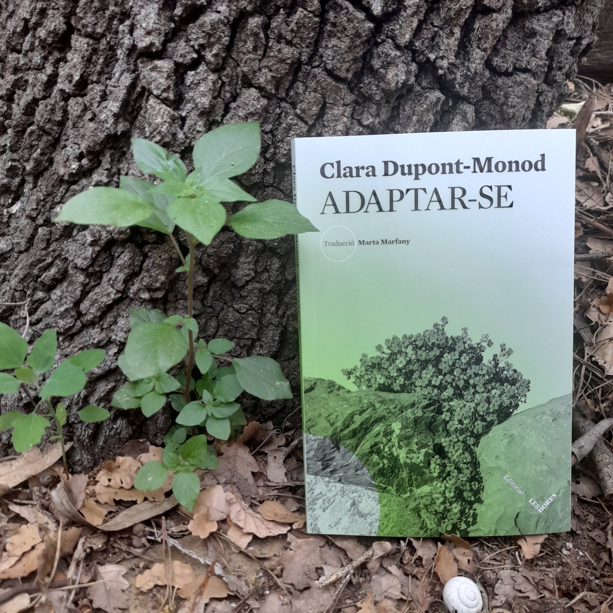 ✨Arriba a les llibreries 📚Adaptar-se, de Clara Dupont-Monod 🌍Traduïda per @MartaMarfany 🖊️La història del naixement d’un nen amb discapacitat explicada pels seus germans. editorialleshores.com/cataleg/adapta…