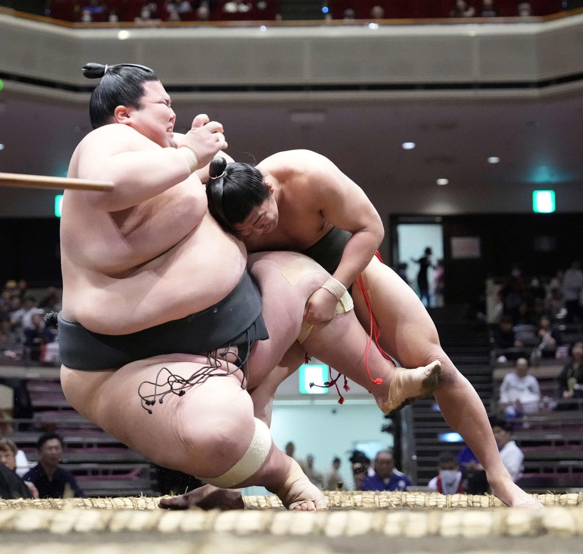 𝐃𝐚𝐯𝐢𝐝 𝐚𝐧𝐝 𝐆𝐨𝐥𝐢𝐚𝐭𝐡, 𝐬𝐞𝐩𝐚𝐫𝐚𝐭𝐞𝐝 𝐟𝐫𝐨𝐦