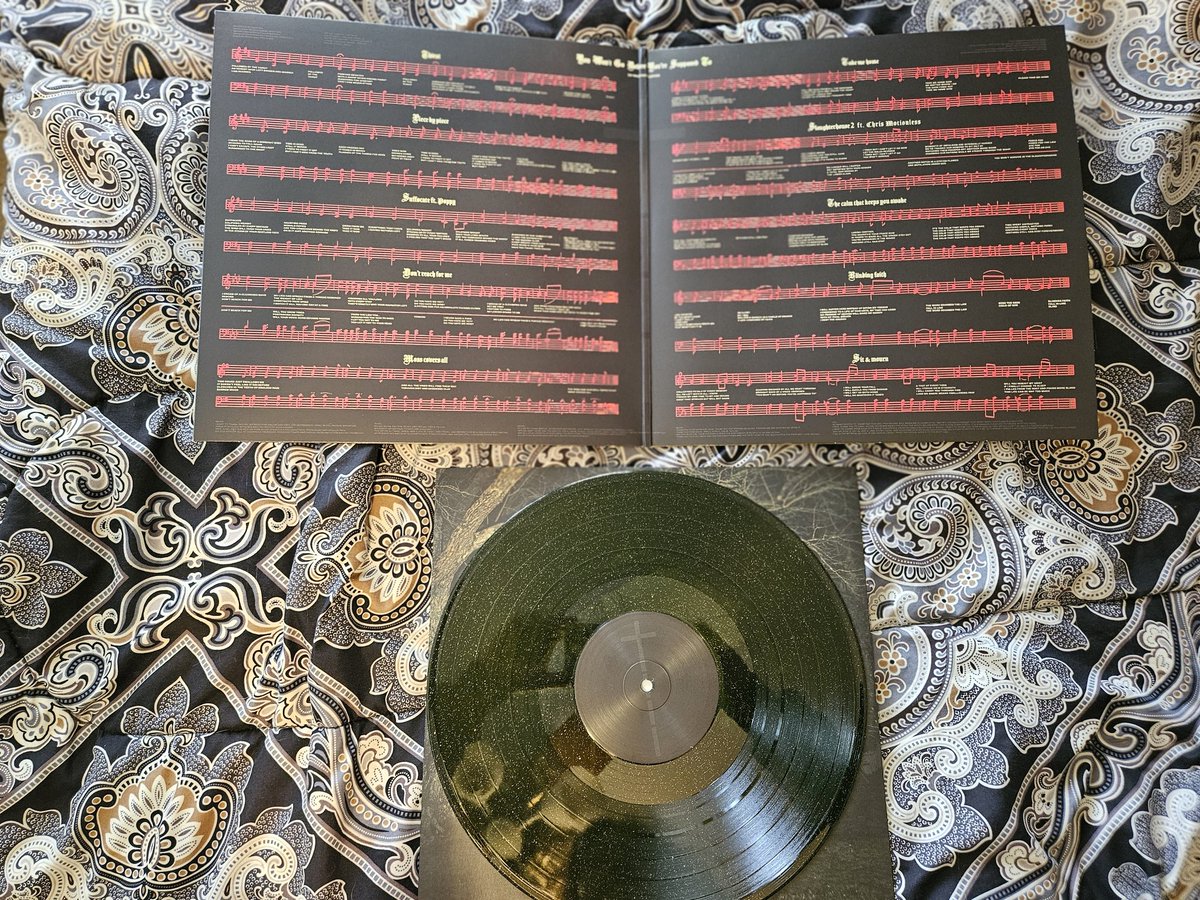 Dom 🌸 tweet media