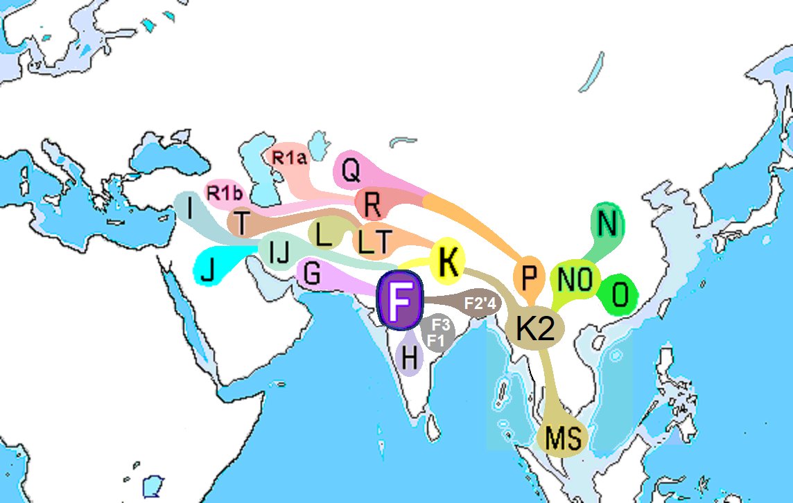 @NeilHD108 Yamnaya carried R1b mostly though which doesn't even exists in India. Furthermore, OIT is a joke. If you mean by dispersal of all Eurasian paternal lineages from common F haplogroup,  probably it will explain OIT(but it's too ancient to be considered).