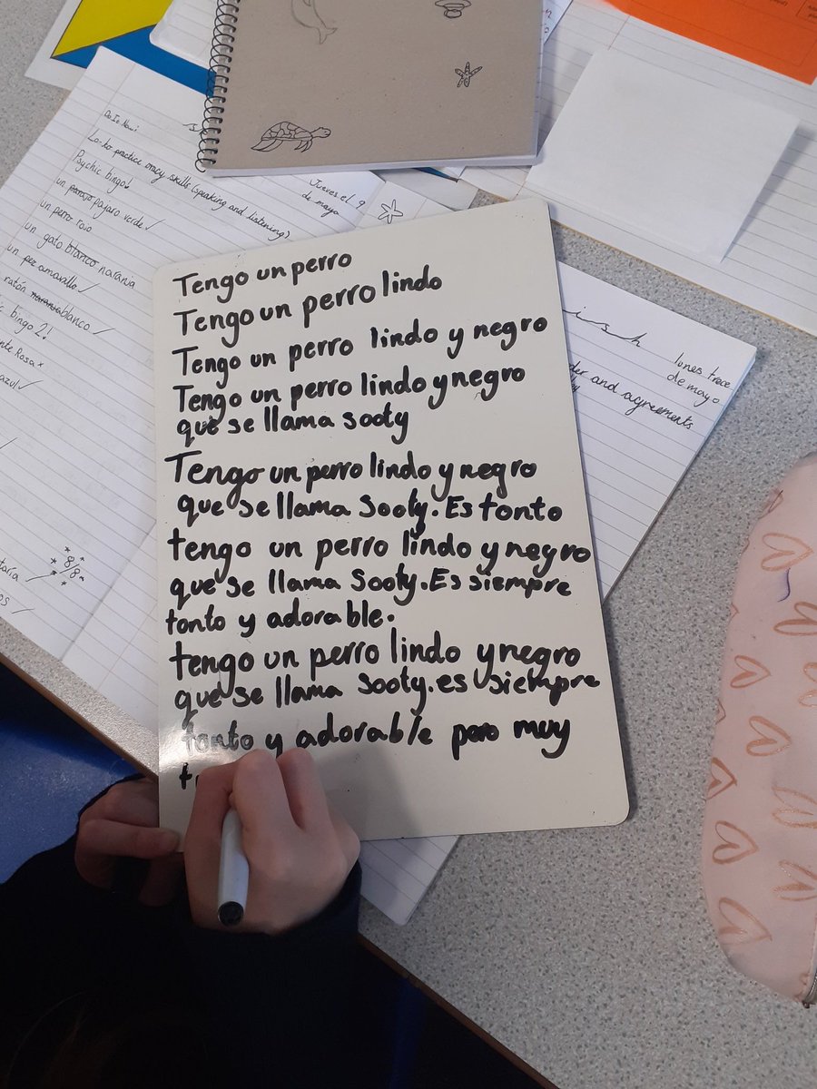 pentrelanguages's tweet image. 7.6 worked hard today on their pyramid translations, practicing gender, number and word order in our pets topic. ¡Buen esfuerzo 7.6! #español #learnspanish
