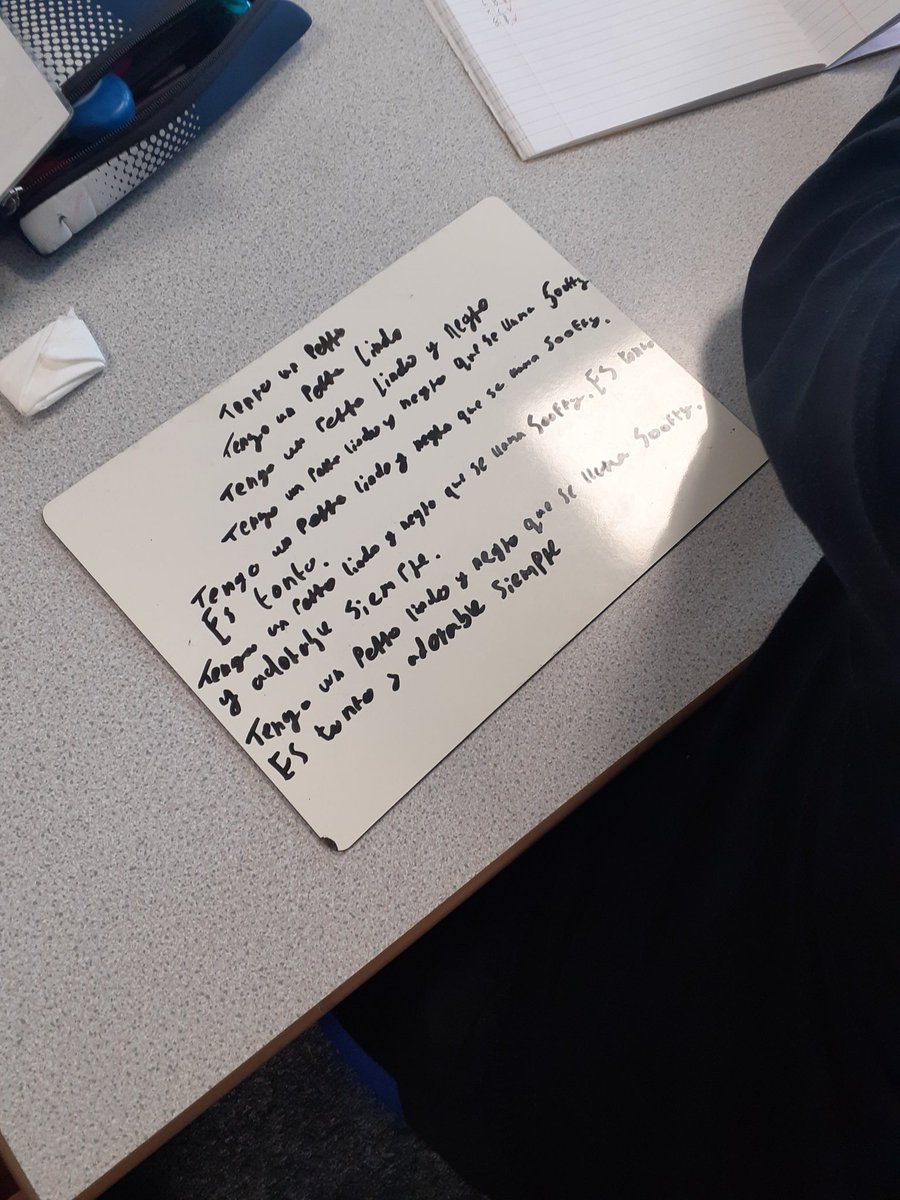 pentrelanguages's tweet image. 7.6 worked hard today on their pyramid translations, practicing gender, number and word order in our pets topic. ¡Buen esfuerzo 7.6! #español #learnspanish