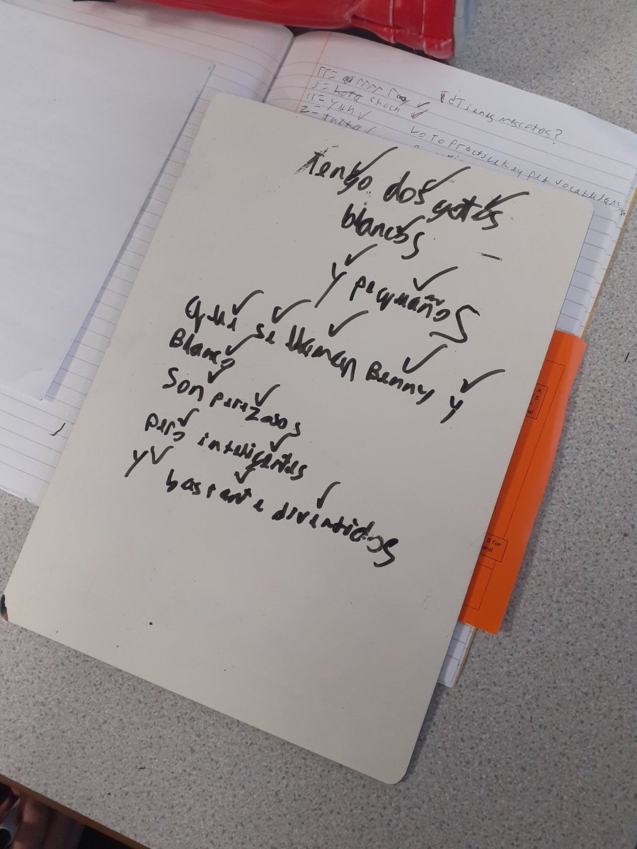 7.6 worked hard today on their pyramid translations, practicing gender, number and word order in our pets topic. ¡Buen esfuerzo 7.6! #español #learnspanish