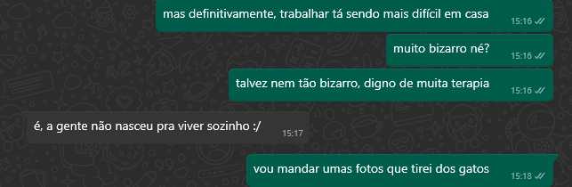 henzoberlesi's tweet photo. minha nova forma de comunicação é finalizar a conversa com foto dos gatos https://t.co/Ktdgd7bNHl