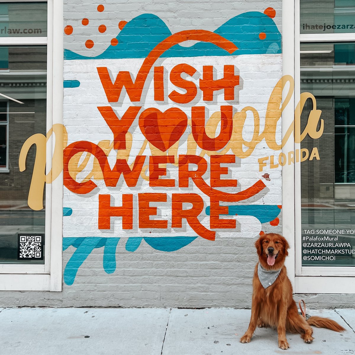 We really do wish you were here! 🐶💙 #TheWayToBeach #ExperiencePcola #LoveFl 📍@zarzaurlawpa downtown Pensacola 📸 @cowandtheboys