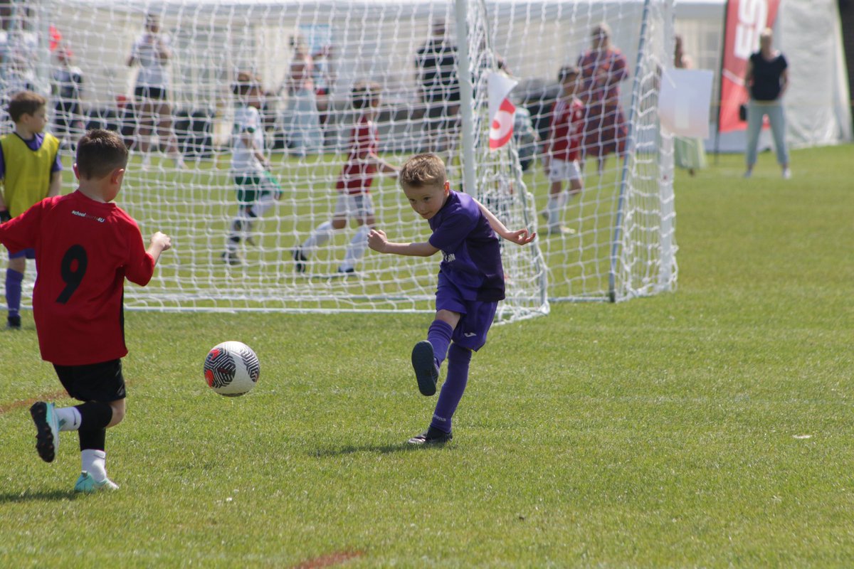 Lee Scott tweet media