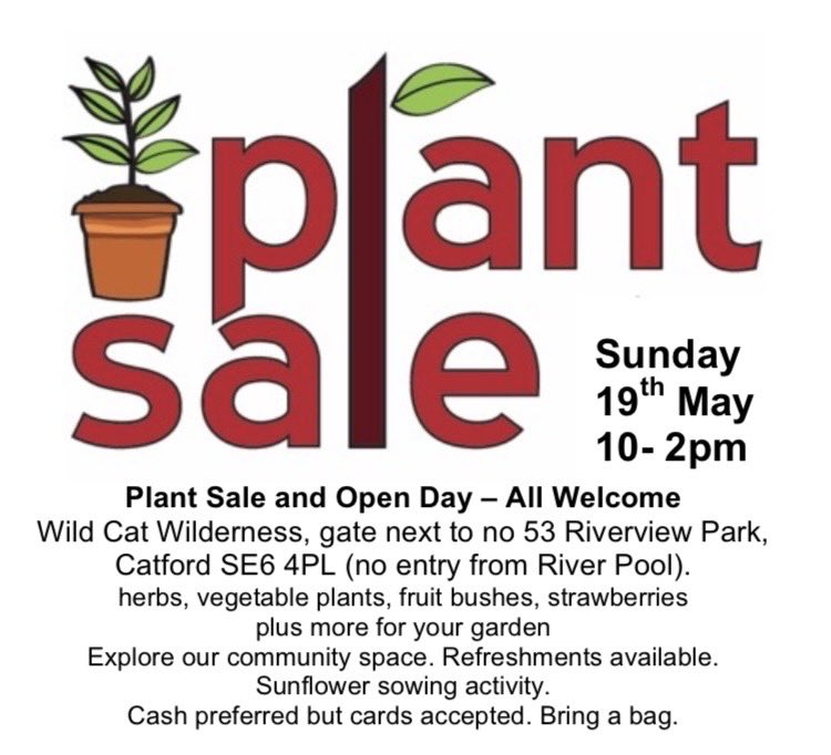 🌳 Plant Sale & Open Day at our very own Wild Cat Wilderness!

❤️ See how our volunteers have shaped the space, and get all your seeds sprouts and saplings in for the Summer...

📌 19th May, 10-2pm @ Riverview Park, London, SE6 4PL

@WCWCatford