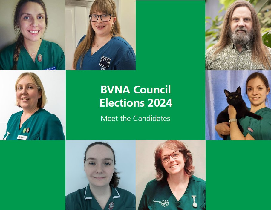 🗣️ BVNA Council Elections 2024 – Candidates Announced! We will once again be holding an election for 2024. There are 7️⃣ nominations for the 3️⃣ RVN available seats. All candidates’ profiles can be found here; bvna.org.uk/blog/bvna-coun… 📆 Voting opens 3rd June & closes 28th June