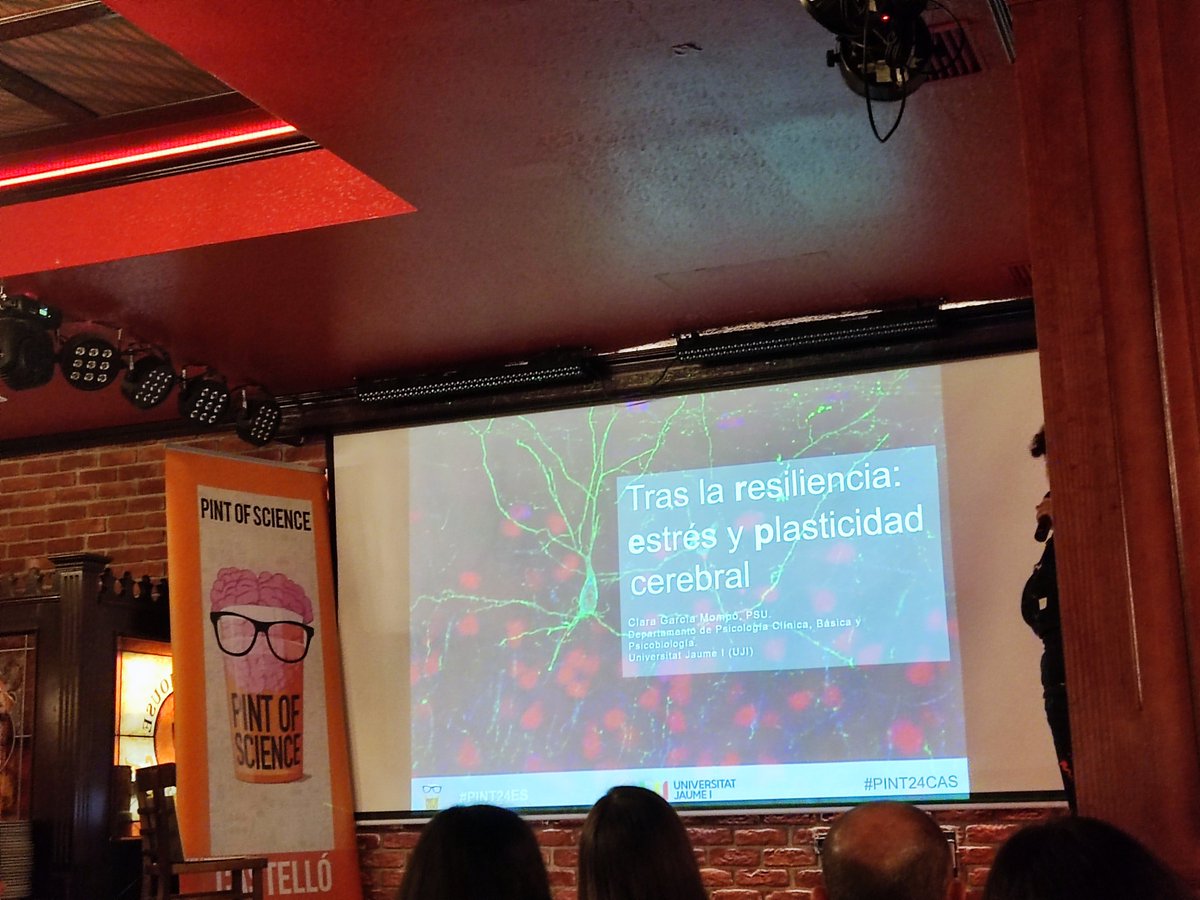 Estrés y plasticidad cerebral! #PINT24ES #PINT24CAS 🧪 🧠 🧪