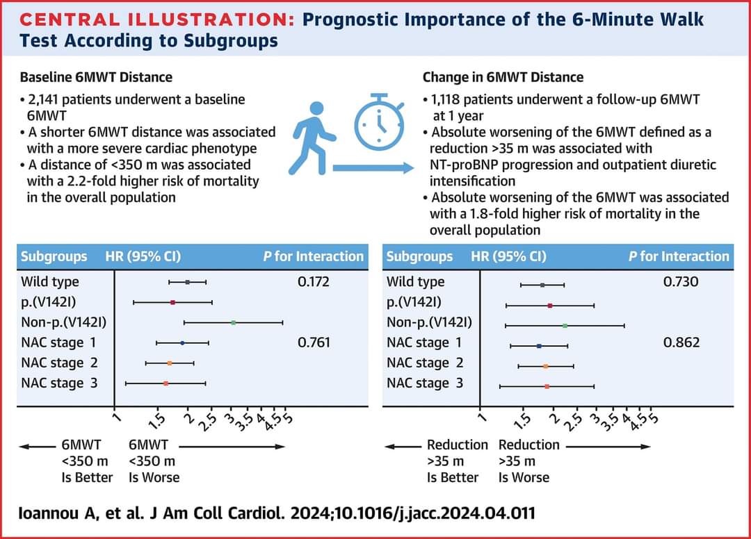 🔴 Prognostic Value of a 6-Minute Walk Test in Patients With Transthyretin Cardiac Amyloidosis #openaccess @JACCJournals jacc.org/doi/10.1016/j.… #CardioEd #Cardiology #Amyloidosis #FOAMed #Cardioed #Cardiology #echofirst #CardioEd #Cardiology #FOAMed #cardiotwiteros #MedEd