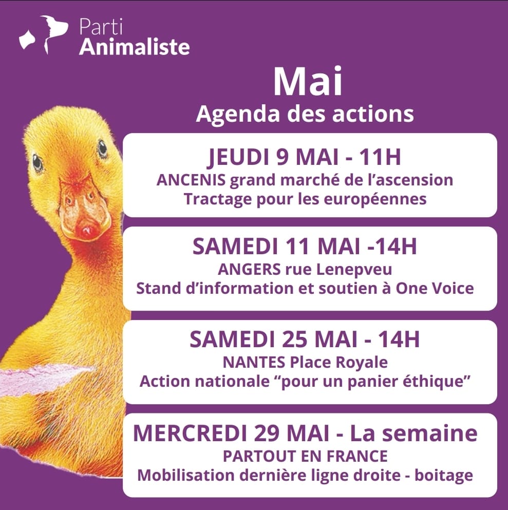 Le 9 juin, je voterai pour le programme du @PartiAnimaliste et 'Pour une terre vivable' !
#OnRecolteCeQueLonVote #LesAnimauxComptent
x.com/rerabt/status/…