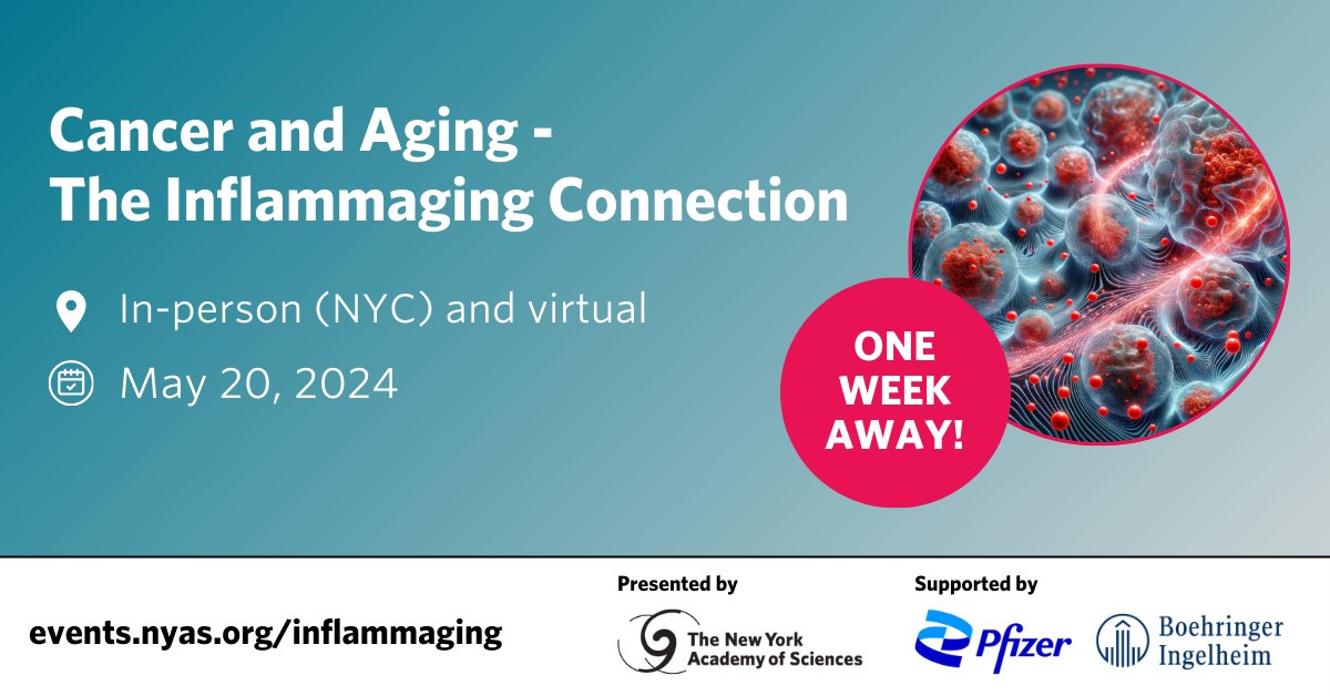 ⌛ Don't miss this #cancer event! ⏳ Cancer and Aging - The Inflammaging Connection is just one week away! Join us on May 20 in NYC or virtually for this cutting-edge symposium, presented by the Academy and supported by @Pfizer & @Boehringer. Register now: bit.nyas.org/3Wuy4Z9