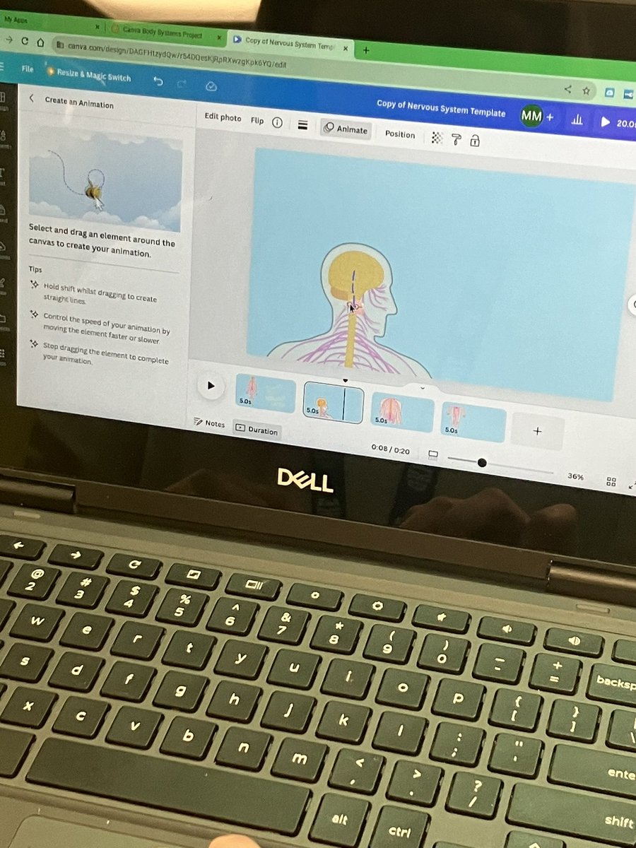 4th grade scientist at @okekoalas created Body System videos on @CanvaEdu!🥼 These students are sharing all they know about the circulatory system❤️, nervous system🧠, skeletal system💀, and muscular system💪 #KISDelemtech