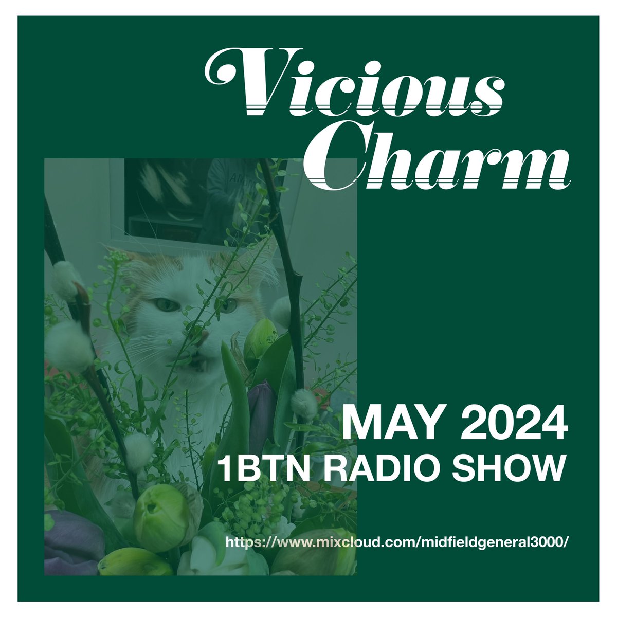Vicious Charm Radio Show for May is now up on Mixcloud for your listening pleasure. I deliberately added some shonky mixing to make other DJs feel better about themselves… mixcloud.com/1btn/vicious-c…