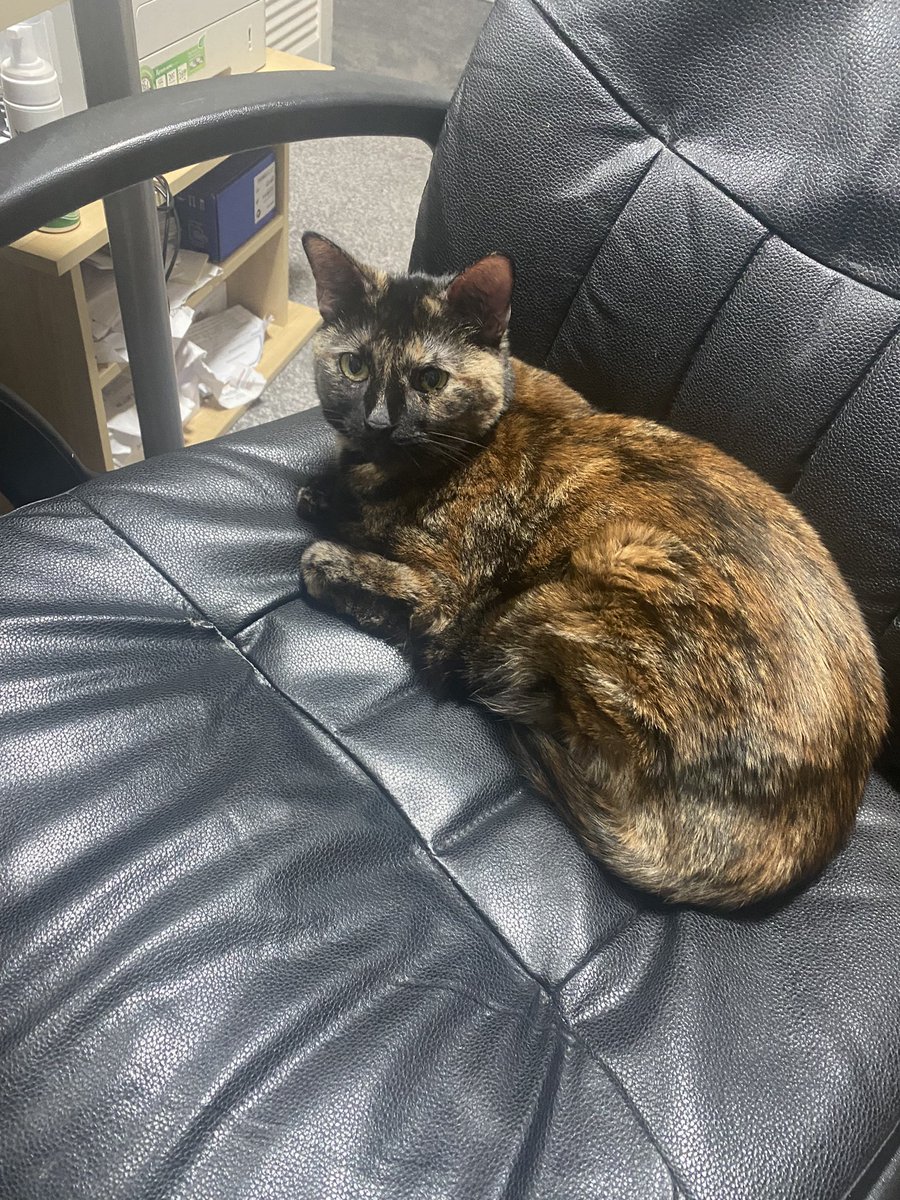 Miss Carter tweet media