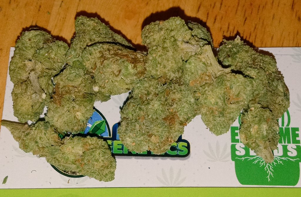 Shout Out to @SeedsEpitome and @icedoutgen DOSIDO is FIRE 🔥 Ill be posting my video review later today 😁 #MothersDay #CannabisCommunity #Cannabis #420friendly #420life #Weedmob #weedlife #weedlovers #STONER #stonerfam #marijuana