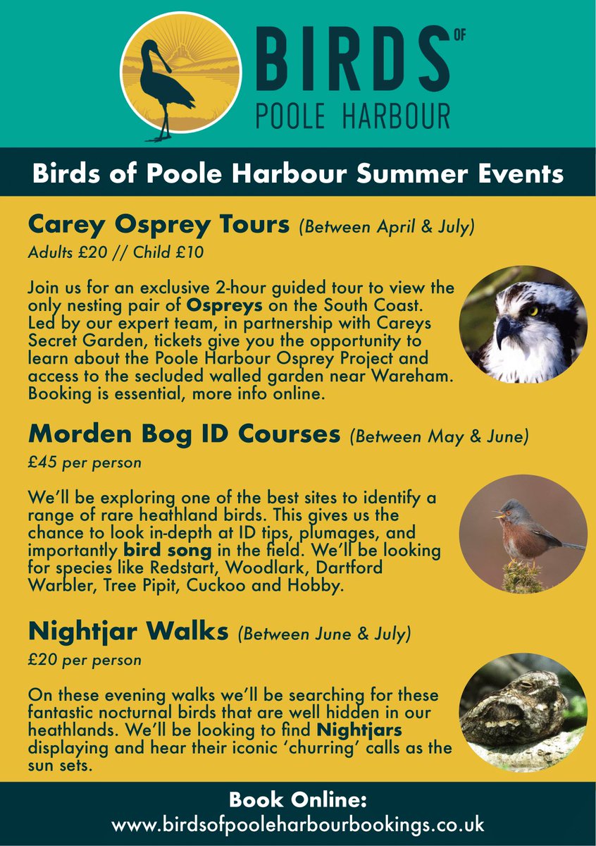 Along with our boat trips we have plenty of land-based events coming up over the summer! ⬇️

birdsofpooleharbourbookings.co.uk

@WhatsOnInDorset @DorsetTourism @DorsetBirdClub @CareysSecret