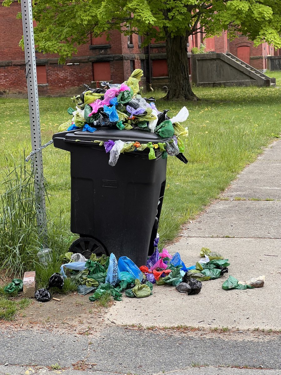 Who empties the dog trash at Medfield State Hospital? #MedfieldStateHospital #MedfieldMA