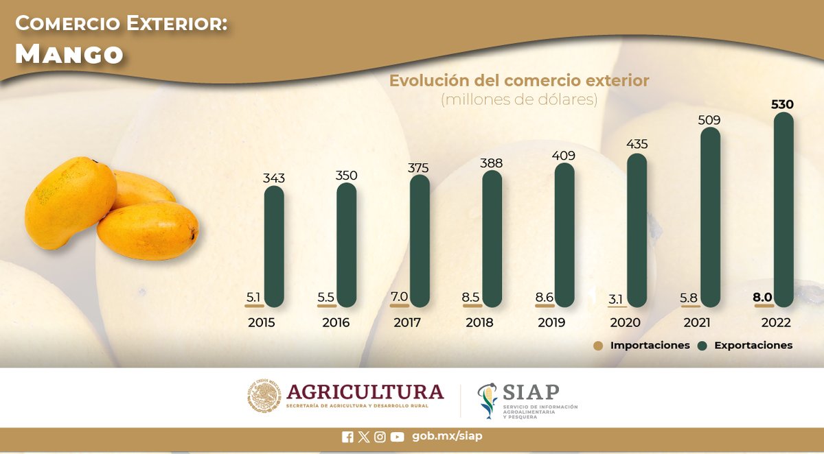 DGSIAP_Mx's tweet photo. En 2022, 62% del volumen importado de #Mango por parte de EE. UU.  fue suministrado por México. #ComercioExteior #AgriculturaMexicana https://t.co/l7A9dJ3KrH
