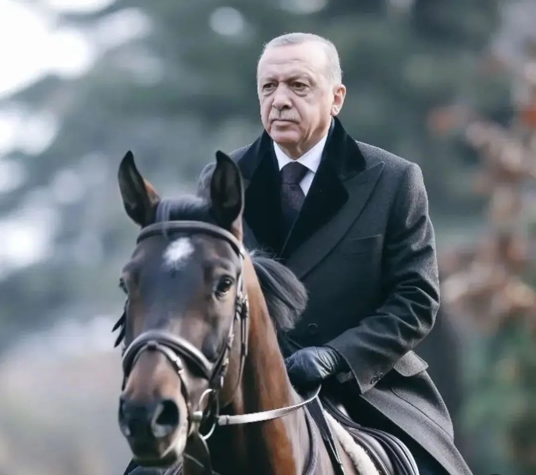 Kemalist değilim Laik hiç değilim Elhamdülillah Müslüman Türk’üm🇹🇷 Atam Fatih Sultan Mehmet Liderim Recep Tayyip Erdoğan